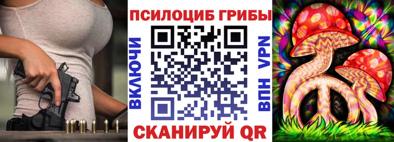 Галлюциногенные грибы мицелий  kraken ССЫЛКА  Багратионовск 