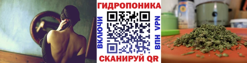 mega как зайти  Багратионовск  это официальный сайт  Канабис Amnesia 